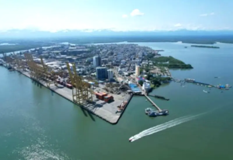 Buenaventura invierte $489 millones en reforestación de manglares y apoyo a familias