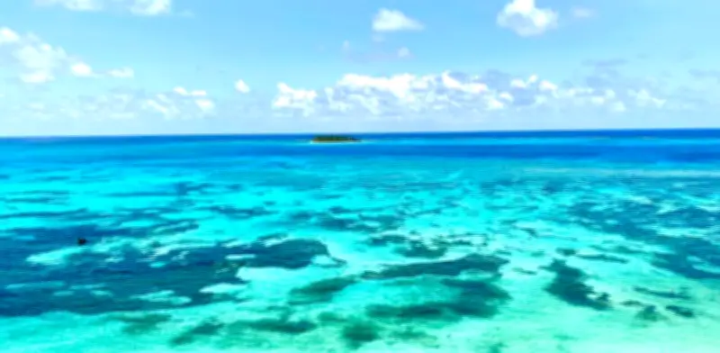 Colombia brilla en los premios Travellers' Choice de Tripadvisor 2026 con múltiples reconocimientos