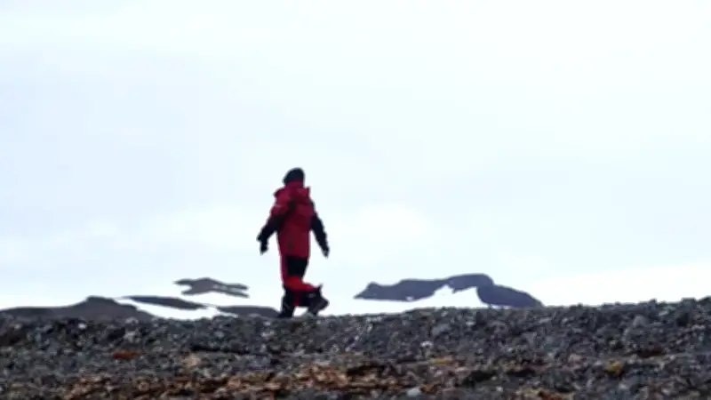 Colombia en la Antártida: Así reutilizan desechos para proteger el continente blanco