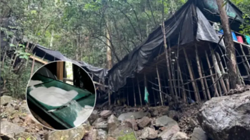 Con apoyo de la DEA, destruyen megalaboratorio de disidencias en Antioquia
