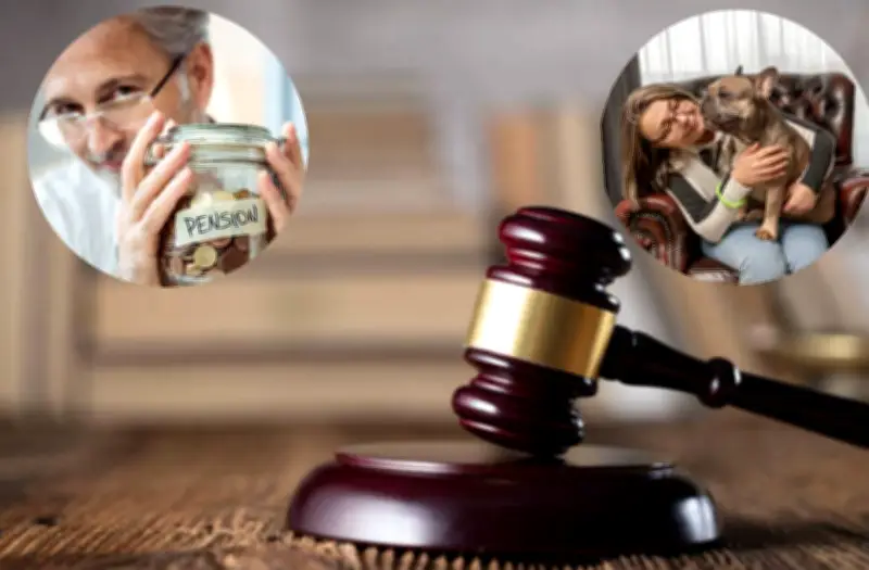 Corte Suprema transforma derechos laborales: licencia por mascotas y protección ampliada a prepensionados