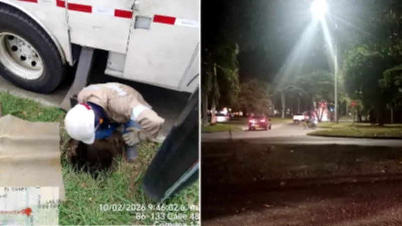 Emcali restablece alumbrado público en Valle del Lili tras denuncia ciudadana