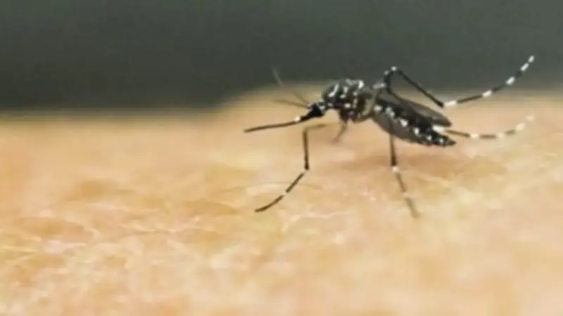 Emergencia por lluvias en Urabá: 19 casos de dengue confirmados en Necoclí