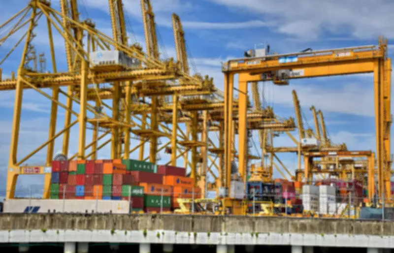 Exportaciones del Valle del Cauca crecen 15% en 2025 con nuevos productos y mercados