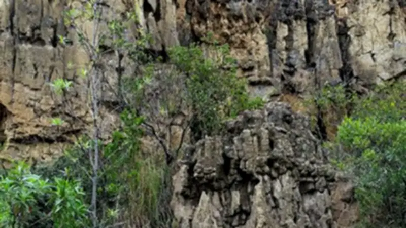 Floresta, Boyacá: Un paraíso geológico y paleontológico a una hora de Tunja