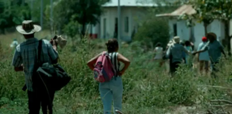 ONU advierte aumento de riesgo electoral por violencia en Colombia en informe anual de DD.HH.