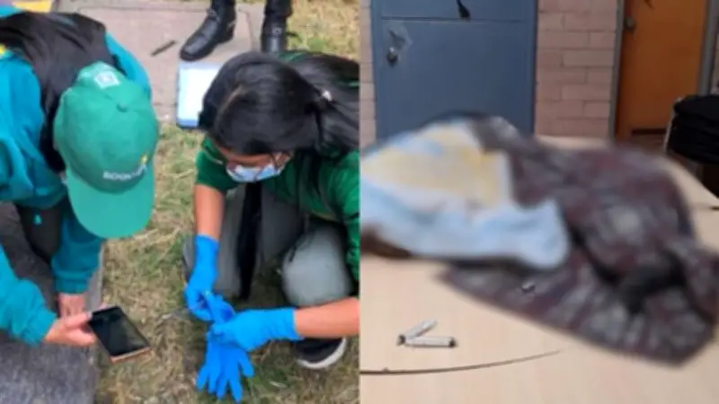 Seis perros envenenados en colegio de Bogotá: dos murieron y cuatro luchan por su vida