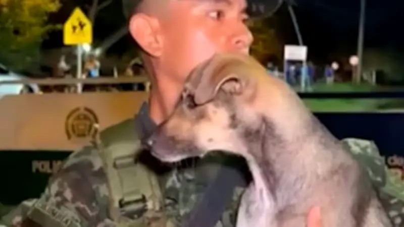 Soldado adopta a perrita rescatada de inundaciones en Montería, Córdoba