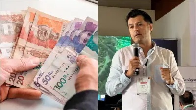 Analista advierte efectos laborales y económicos tras suspensión del salario mínimo en Colombia