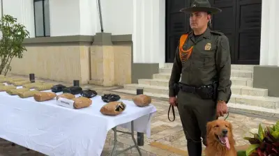 Autoridades incautan 52 kilos de marihuana en dos operativos en Bucaramanga