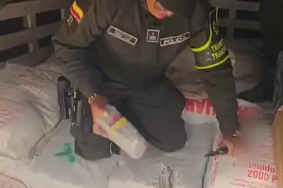 Autoridades incautan 900 kilos de marihuana en Mallama, Nariño y capturan a conductor