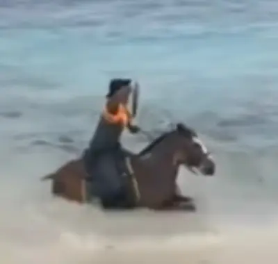 Caballo de la Policía se baña en el mar de San Andrés durante patrullaje y se vuelve viral