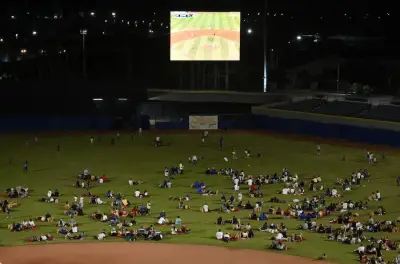 Caimanes de Barranquilla organiza 'Picnic en el Diamante' para ver a Colombia en Clásico Mundial