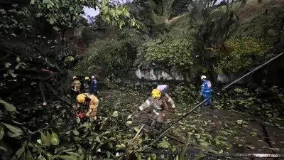 Cali recupera la normalidad tras vendaval y granizada que causaron emergencias