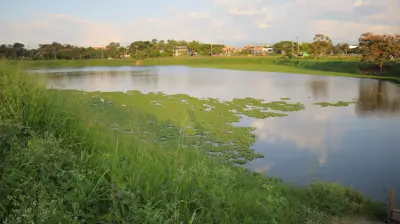 Charco Azul: De humedal abandonado a pulmón ambiental en el oriente de Cali