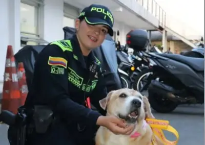 Chela, la perrita que conmovió a Pereira, es adoptada por la Policía tras perder a su cuidador
