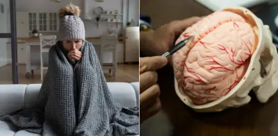 Científicos descubren el circuito cerebral que causa escalofríos durante la fiebre