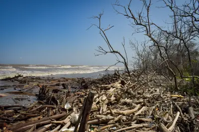 Ciénaga Los Manatíes en peligro: el mar arrasa mangles y amenaza viviendas en Puerto Colombia