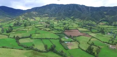 Colombia supera las 140 mil hectáreas protegidas para producción alimentaria con nueva declaratoria en Tolima