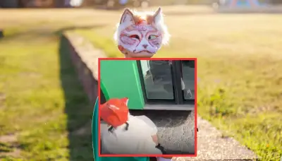 Conductor de bus niega acceso a joven 'therian' en México y genera debate sobre discriminación