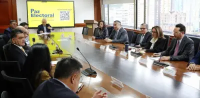 Consejo Gremial solicita observación temprana de la OEA para elecciones 2026