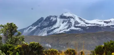 Contraloría alerta graves fallas en Estrategia Nacional de Financiamiento Climático
