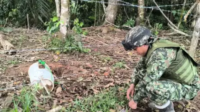 Crisis educativa en Anori: zonas rurales pierden docentes por orden público