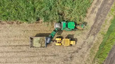 Crisis en el sector azucarero: 50 millones de litros de etanol detenidos