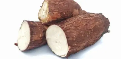 Crisis invernal en Córdoba dispara precios de yuca, plátano y mazorca en el Atlántico