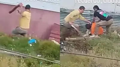 Crueldad extrema en Bogotá: perro husky torturado con machete en Ciudad Bolívar