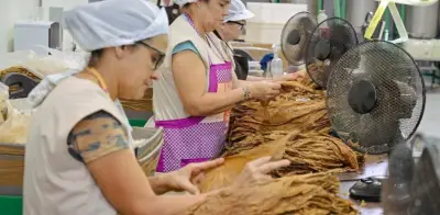 Cuba: Sector privado importa combustible pese al bloqueo petrolero de EE.UU.