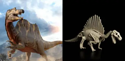 Descubren nueva especie de Spinosaurus en el Sáhara que cuestiona su hábitat marino