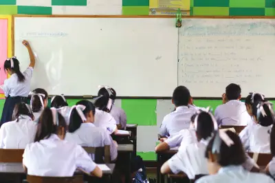 Desde 2026, colegios públicos y privados tendrán cátedra obligatoria de protección animal