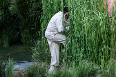 Detalles revelados del show de Bad Bunny en el Super Bowl: sueldos de bailarines y celebridades en 'la Casita'