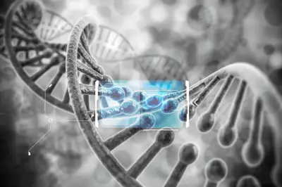 El mapa genético humano: gradientes sin fronteras raciales fijas