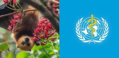 Enfermera fallece en India por virus Nipah: OMS descarta riesgo de propagación masiva