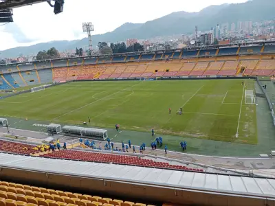 Estado de la gramilla en El Campín revela fallas en control de APP, según experta