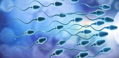 Estudio identifica 42 químicos cotidianos en semen humano que reducen calidad espermática