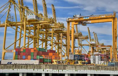 Exportaciones del Valle del Cauca crecen 15% en 2025 con nuevos productos y mercados