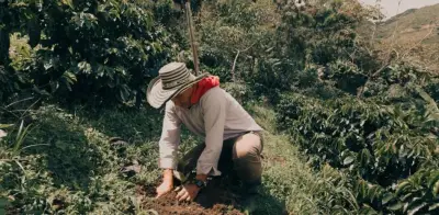 Federación de Cafeteros pide enfocarse en productividad tras ajustes por salario mínimo