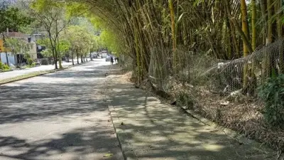 Floridablanca retira 5 toneladas de desechos en Transversal Oriental para mejorar seguridad