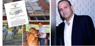 Fortuna del 'Ñeñe' Hernández en suspenso: apelaciones frenan devolución de $480.000 millones