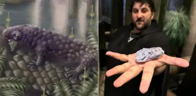 Fósil de 307 millones de años revela uno de los primeros herbívoros terrestres