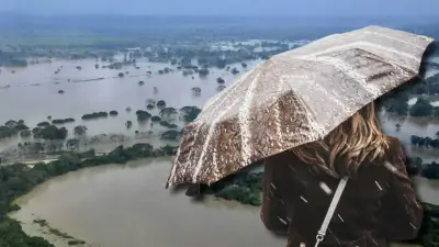 Gobierno anuncia tarifas especiales de luz y alivios para prestadores por inundaciones