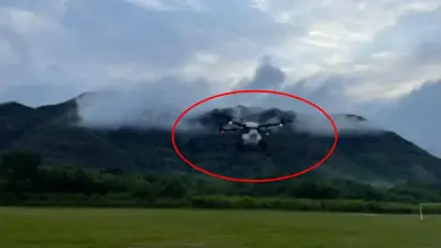 Gobierno reanuda fumigación de coca con drones tras acuerdo Petro-Trump