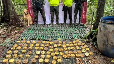 Golpe al terror: hallan arsenal de drones y minas de disidencias de alias 'Iván Mordisco' en el Meta
