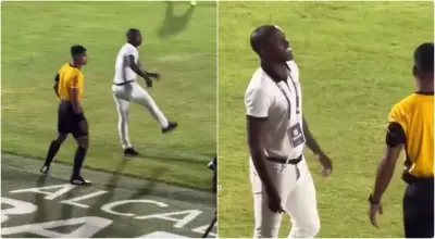 Hinchas del Junior bautizan a delegado de América como 'Campanita' en partido de Liga