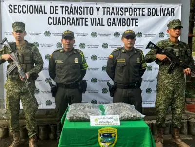 Interdepartamental transportaba 2.000 dosis de marihuana camufladas en encomienda hacia Cartagena