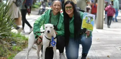 Jornada de adopción animal este domingo en Biblioteca Virgilio Barco de Bogotá