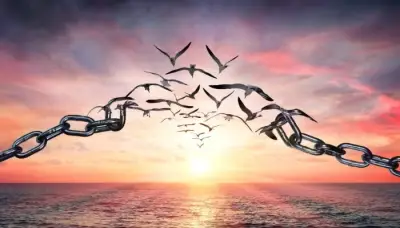 Liberarse del rencor: cómo el perdón mejora la salud física y emocional